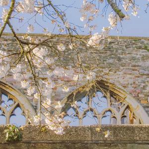 敢教天下无风尘