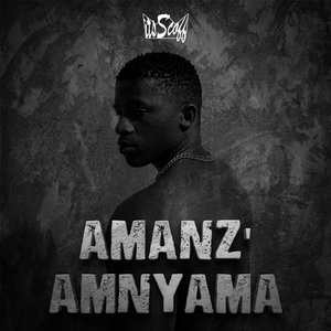 Amanz'amnyama