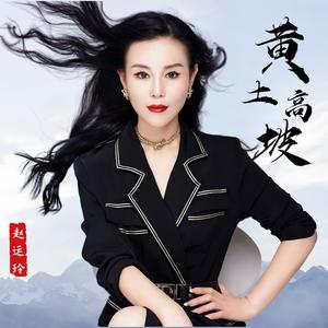 黄土高坡 (DJ版)