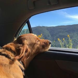 他(produced by HYPER MUSIC)