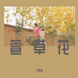 萱草花（男版催泪版）《你好，李焕英主题曲》