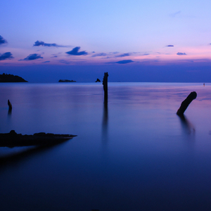 Static Horizon