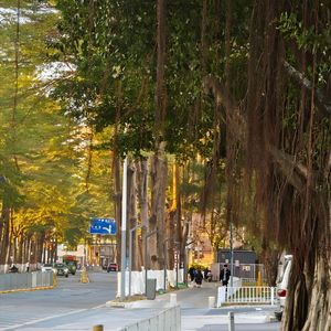 残酷月光（cover 林宥嘉）