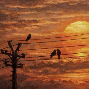 Homeland of Ash and Light