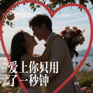 爱上你只用了一秒钟