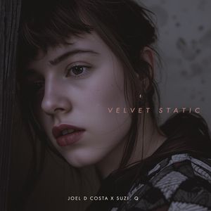 VELVET STATIC