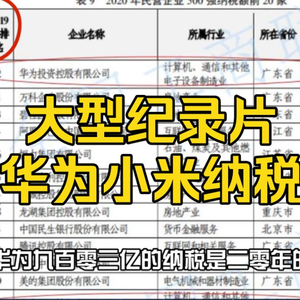 大型纪录片《华为小米纳税传奇》