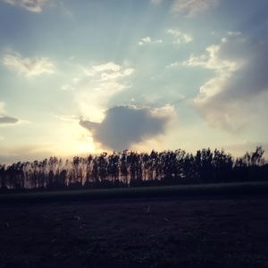 2023.1.1 / 未竟的篇章