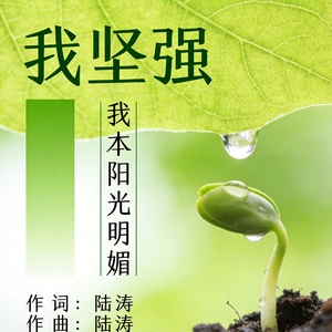 我坚强我本阳光明媚