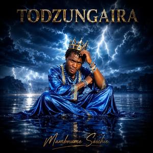 Todzungaira