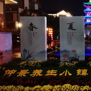 王一诺 - 仲景小镇谣-.mp3