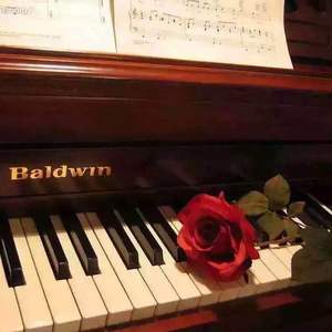 Muzika《现场版》