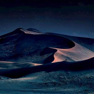 Should We Have Connected? (from "Death Stranding 2") Piano Solo