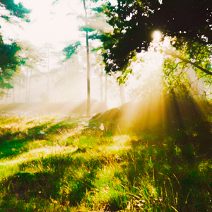 הקסם מתגלה (לייב)