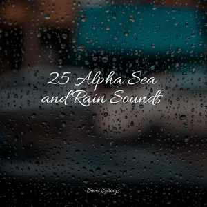 Relaxing Storm (Rain and Thunder)