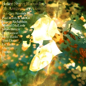 Flacid (Murray Richardson Mix)