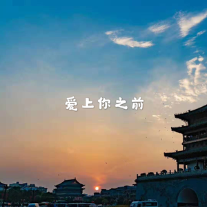 爱上你之前