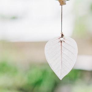 苦多久才能到货