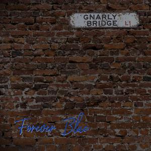 Forever Blue (feat. Sam Tuten & Brona McVittie)