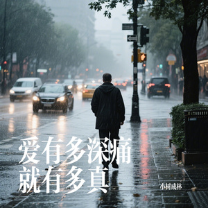 爱有多深痛就有多真