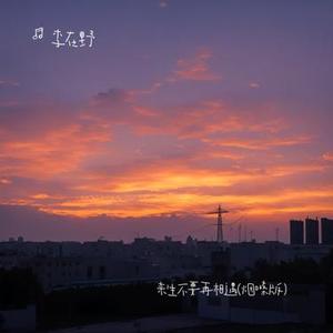 来生不要再相遇