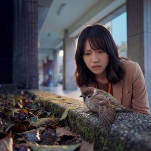 試看覓