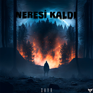 Neresi Kaldı