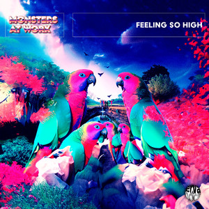 Feeling so High (Original Mix)