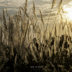 가을밤, 너로 물들다