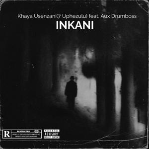 Inkani. (feat. Aux DrumBoss)