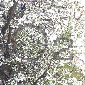 O2 (feat. Oliwia Chabowska)