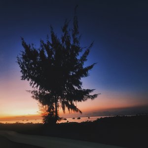 Life's a struggle（cover vava）