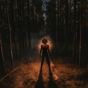 Falling Without Fear