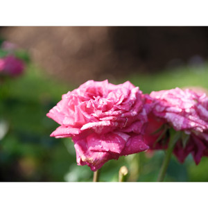 என் ஆகாயமே ! (Demo)