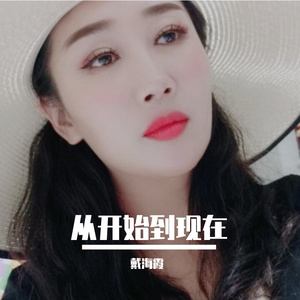 从开始到现在／戴海霞