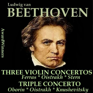 Concerto for Violin and Orchestra In D Major, Op. 61: I. Allegro Ma Non Troppo - Cadenza - Tempo I