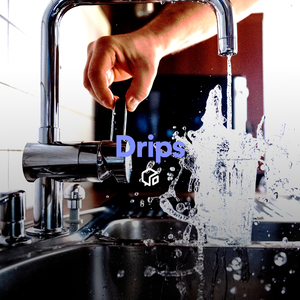 Stream Water Dripping with Birds in Forest (Loopable With No Fade)