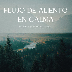 Suave Flujo Del Yoga