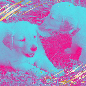 Bossa Trombone Soundtrack for Calming Puppies