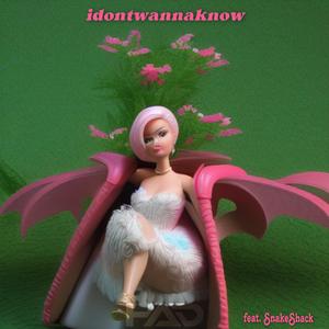 idontwannaknow (feat. SnakeShack)