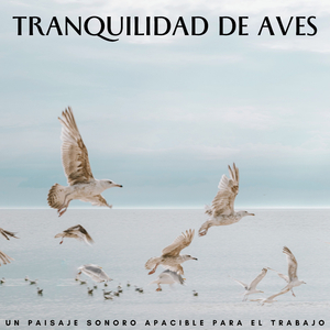 Canciones Relajantes De Lluvia Suave