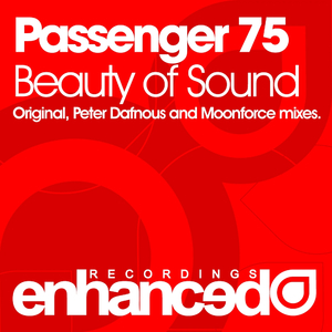 Beauty Of Sound (Peter Dafnous Remix)