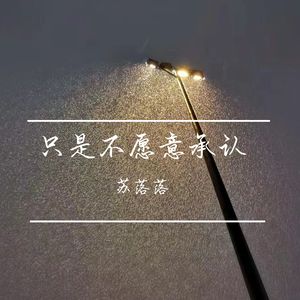 只是不愿意承认