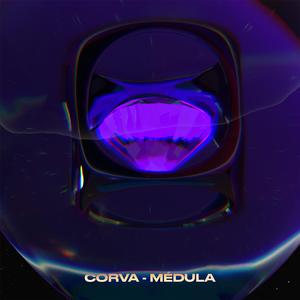 Médula