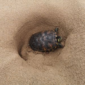 终极秘密