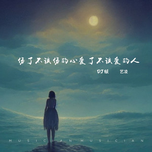 伤了不该伤的心爱了不该爱的人 (DJ版)