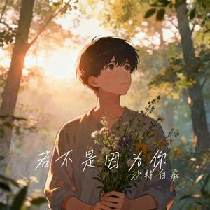 若不是因为你 (Cover 周华健)