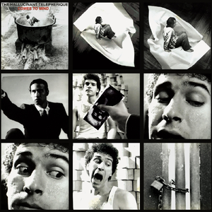 Death of a Completist, Pt. 3