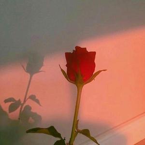 关于郑州的记忆