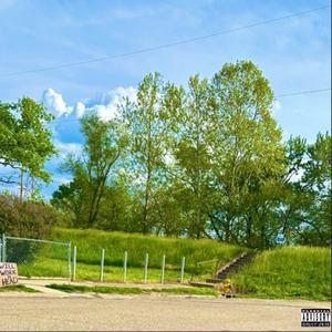 I'M A P.O.S (feat. Lil Pipeholder)